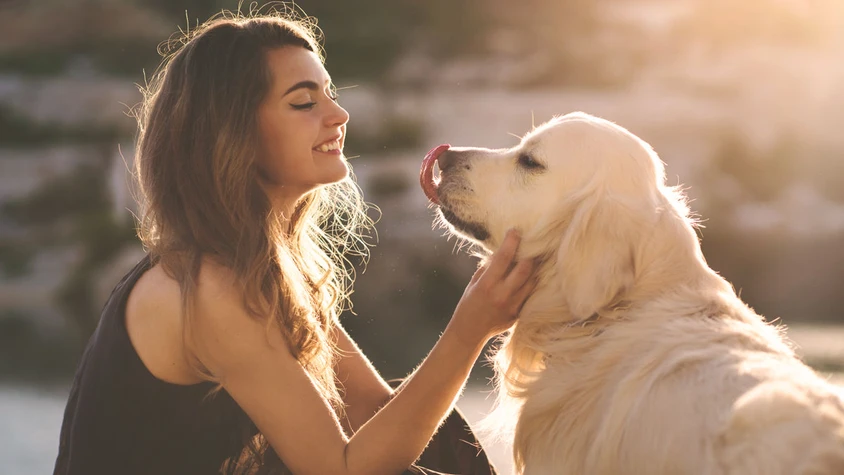 犬好き女子 が恋人にピッタリな8つの理由の1枚目の画像 Tabi Labo