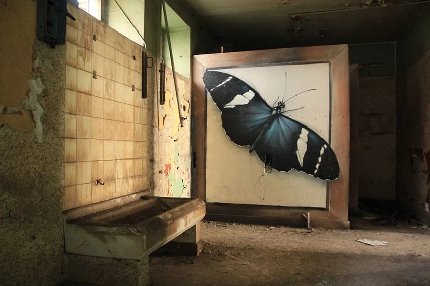 世界一大きい蝶の標本をつくるアーティストの7枚目の画像 Tabi Labo
