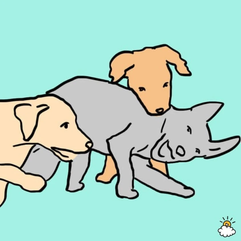 人生に必要なことは 犬 から学んだ 心に沁みる２２のポエムの14枚目の画像 Tabi Labo