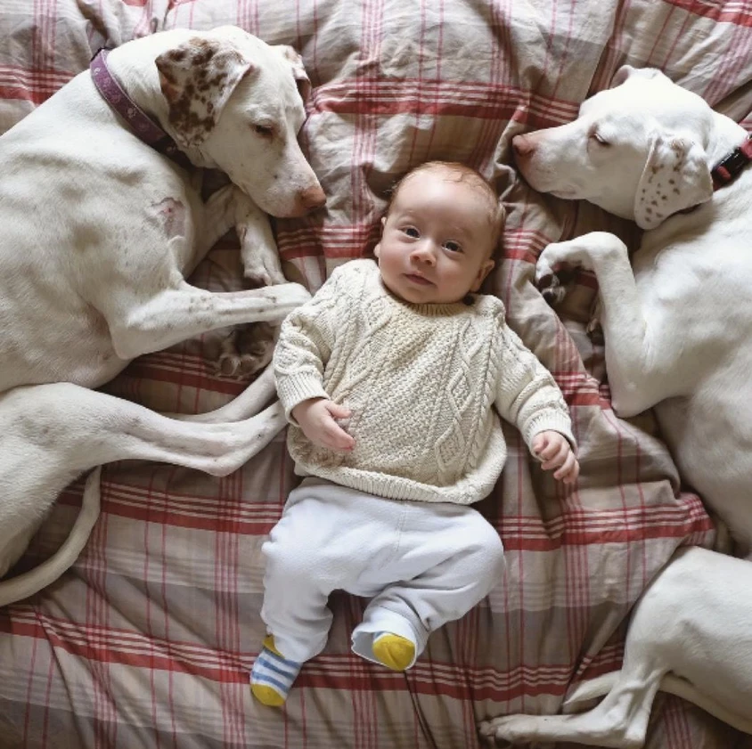 毎日赤ちゃんを抱っこして寝る 子守犬 の写真にほっこりの5枚目の画像 Tabi Labo