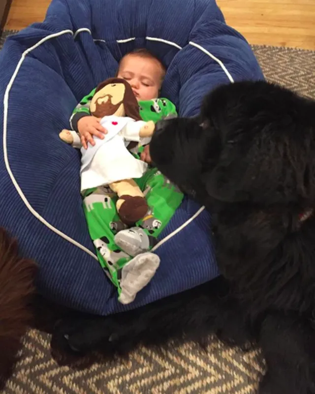 犬と赤ちゃん　昼寝