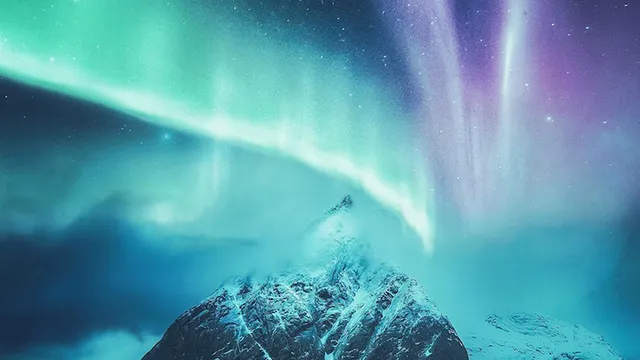 7/10 写真更新　　ビカクシダ　aurora ウィリンキー　オーロラ 極北の一日：オーロラ鑑賞ツアー｜深夜 2025 - ホワイトホース