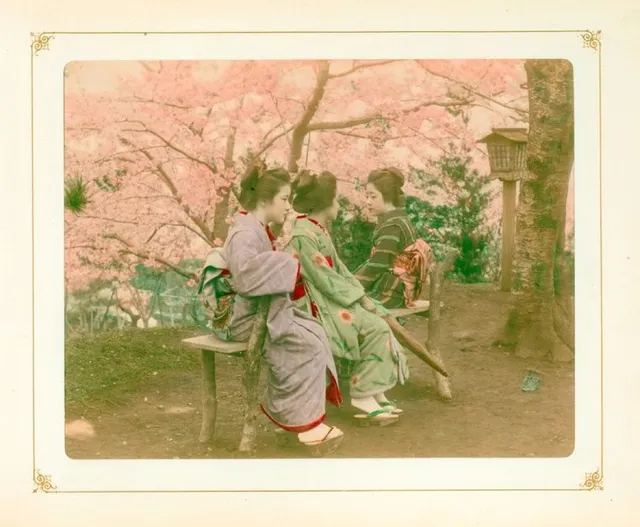 「100年前の美しい日本」桜