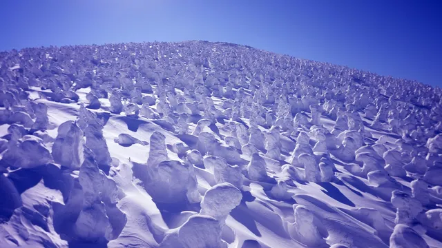 山形県蔵王温泉スキー場の樹氷