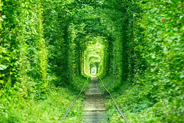 ウクライナの絶景「恋のトンネル」