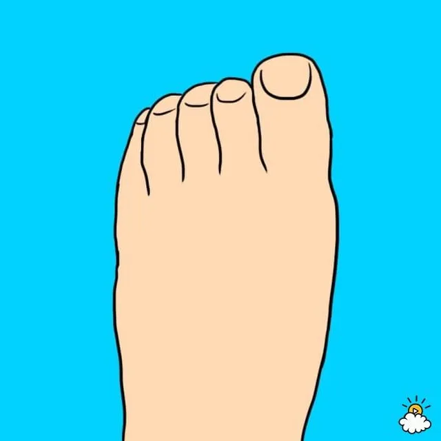 足の指の長さ　戦士の足指　イラスト