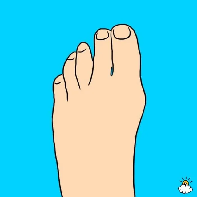 足指の長さ　傾いている足指　性格診断　イラスト