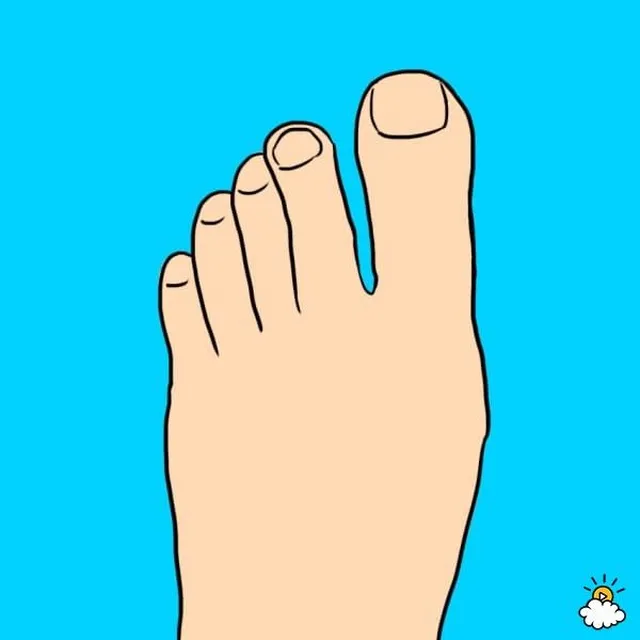 足指の長さ　性格診断　イラスト