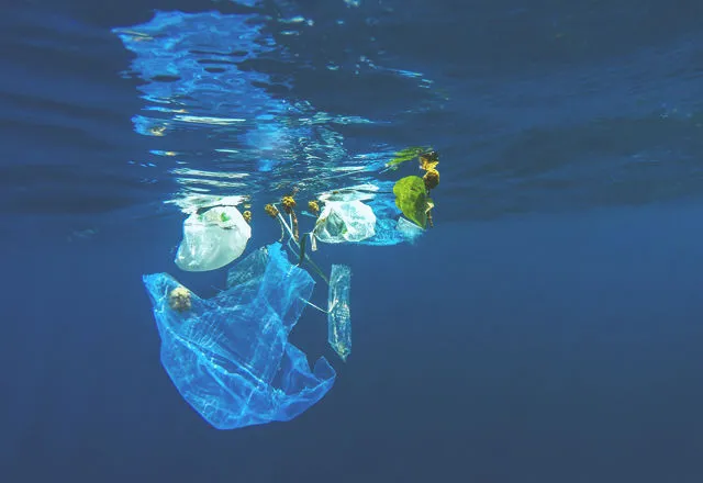 海洋汚染　プラスチック
