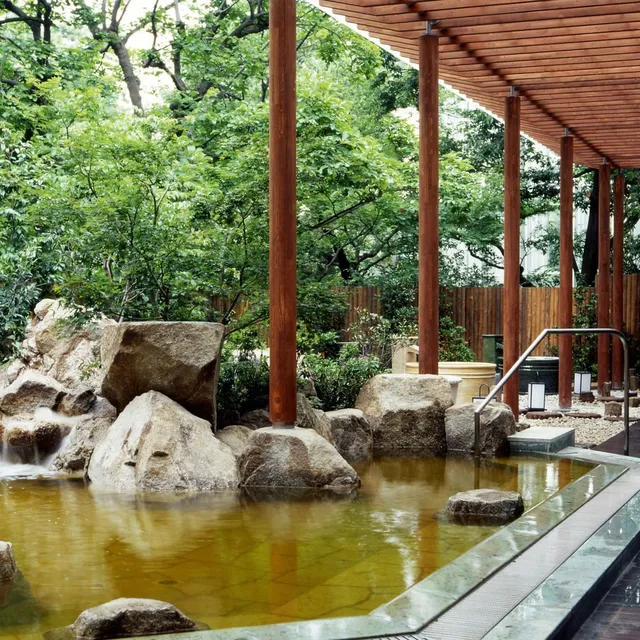 「豊島園 庭の湯」の露天風呂