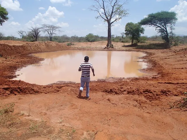 ケニア　砂漠　水溜り